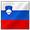 Slovenščina (Slovenia)